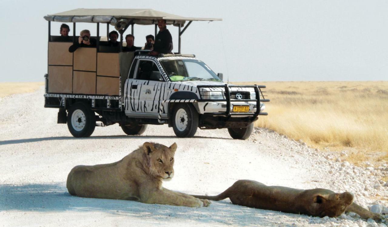 Gondwana Etosha Safari Lodge Okaukuejo Kültér fotó